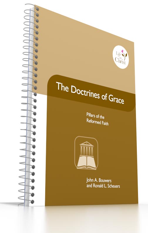 Grade 11 - The Doctrines of Grace Pillars of the Reformed Faith Grade 11 - The Doctrines of Grace Pillars of the Reformed Faith