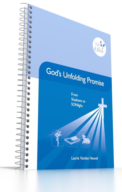 Grade 6 - God's Unfolding Promise From Shadows to SONlight Grade 6 - God's Unfolding Promise From Shadows to SONlight