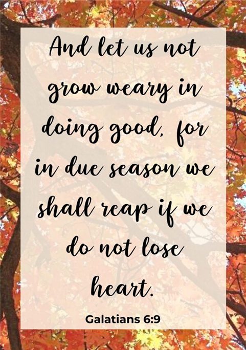 Prayer Requests, November 2025