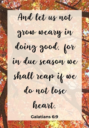 Prayer Requests, November 2025