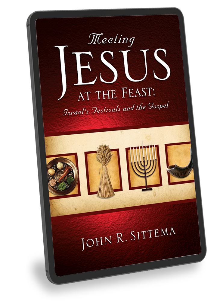 Meeting Jesus at the Feast: Israel's Festivals and the Gospel - eBook