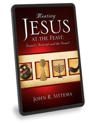 Meeting Jesus at the Feast: Israel's Festivals and the Gospel - eBook