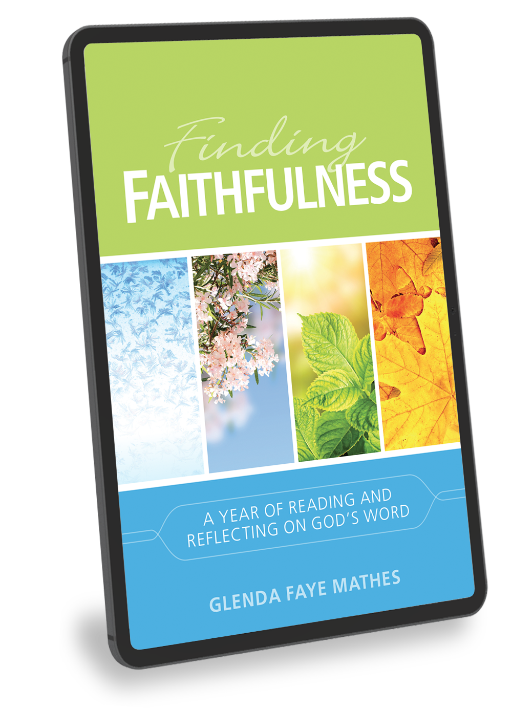 Finding Faithfulness: A Year of Reading and Reflecting on God’s Word - eBook