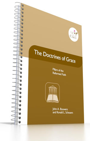 Grade 11 - The Doctrines of Grace Pillars of the Reformed Faith